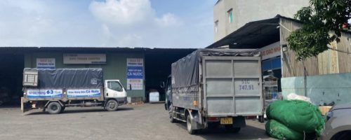chành xe từ huyện triệu sơn đi thanh hoá