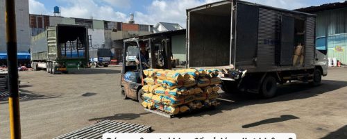 Có xe nâng tại kho để xử lý pallet không