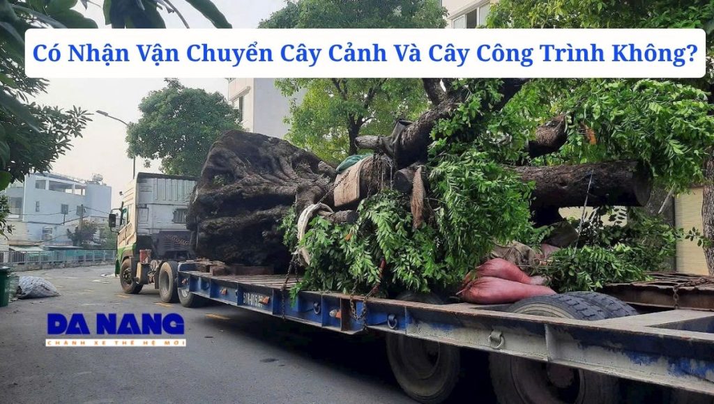 Có Nhận Vận Chuyển Cây Cảnh Và Cây Công Trình Không?